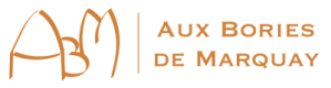 ABM header orange png 400x117px